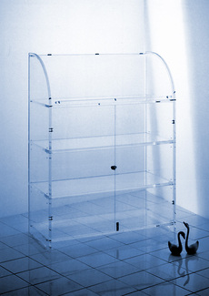 vitrine-04.jpg